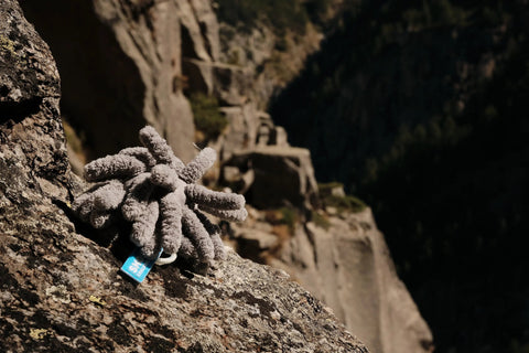 Spolveramani Lazyghost